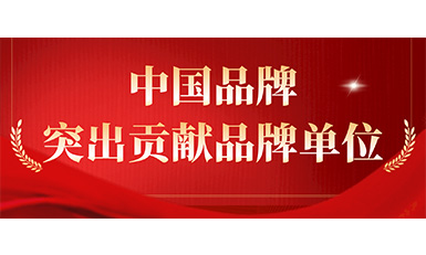 emc易倍官网电梯获评“凸起贡献品牌单元”，，，，，，设置中国品牌标杆力量